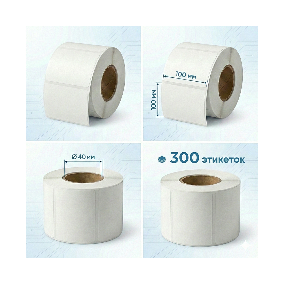 Термоэтикетки в рулоне Europrint EPLE-100.100.300.40 (2 рулона)